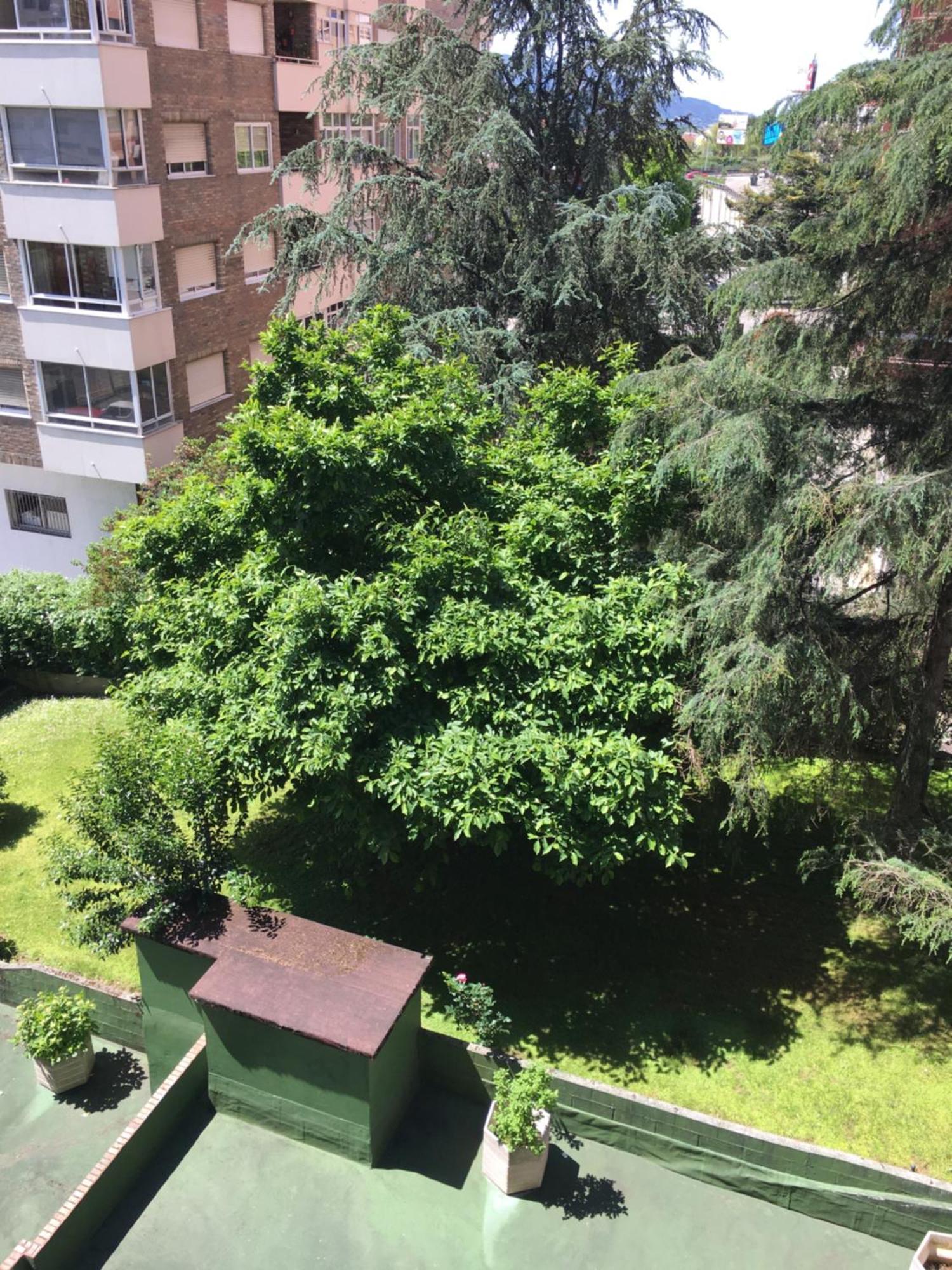 Gaivota Amplio Y Luminoso Con Plaza De Garaje Lejlighed Vigo Eksteriør billede